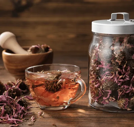 Kompletan vodič za suplementaciju ehinaceom za imunitet